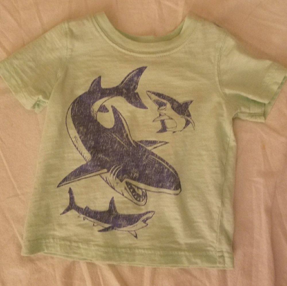 Carter's 12 month shark tshirt